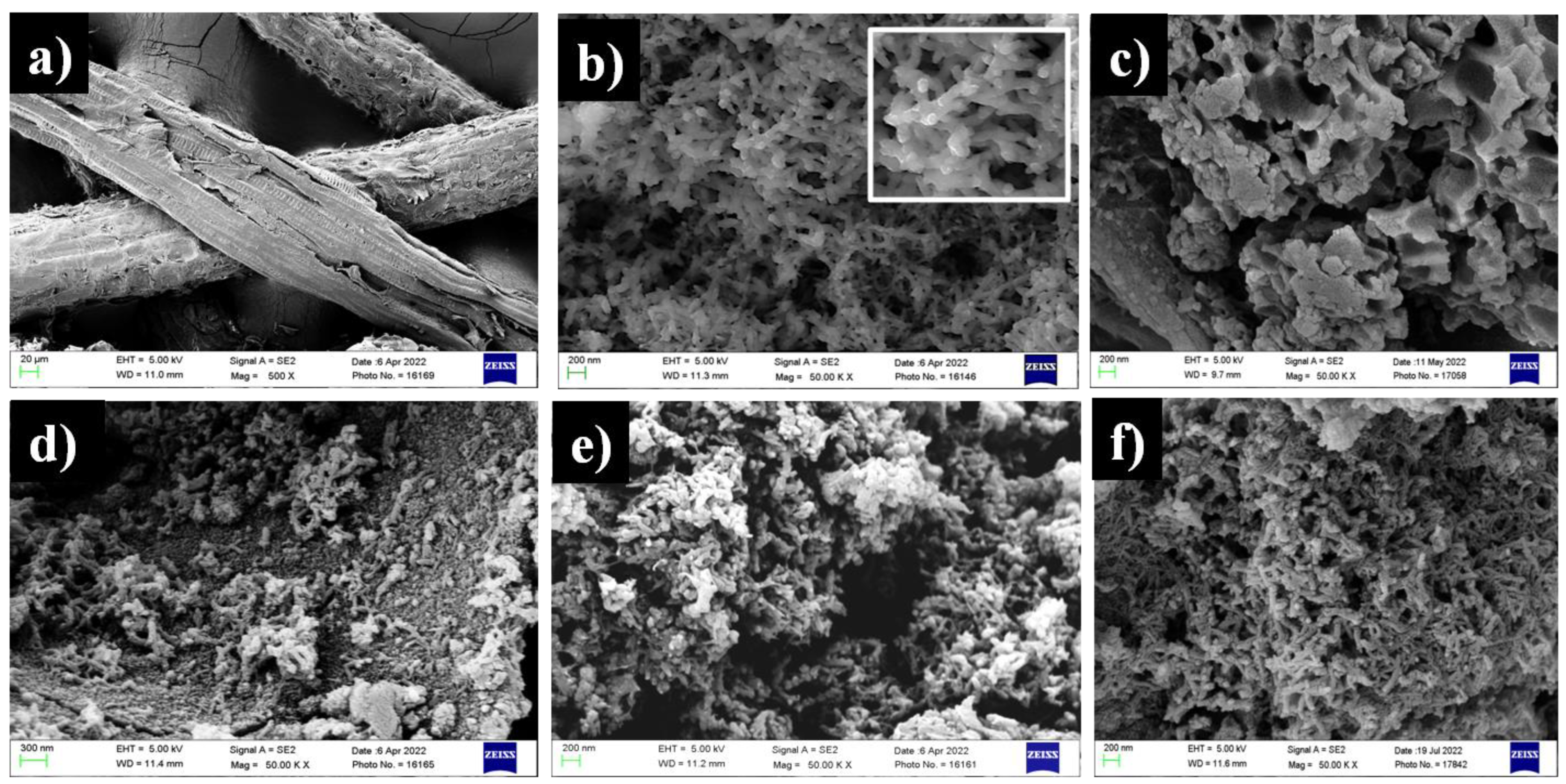 Polymers 14 04264 g002