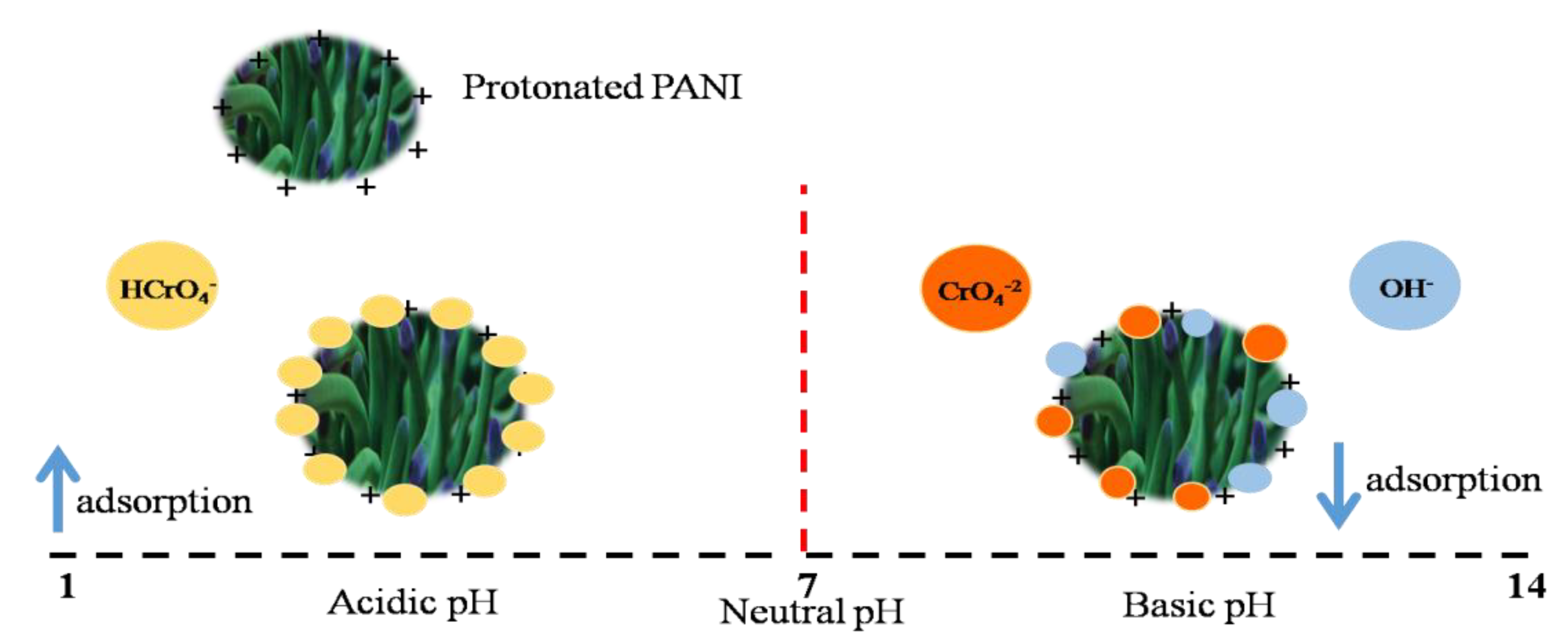 Polymers 14 04264 g006