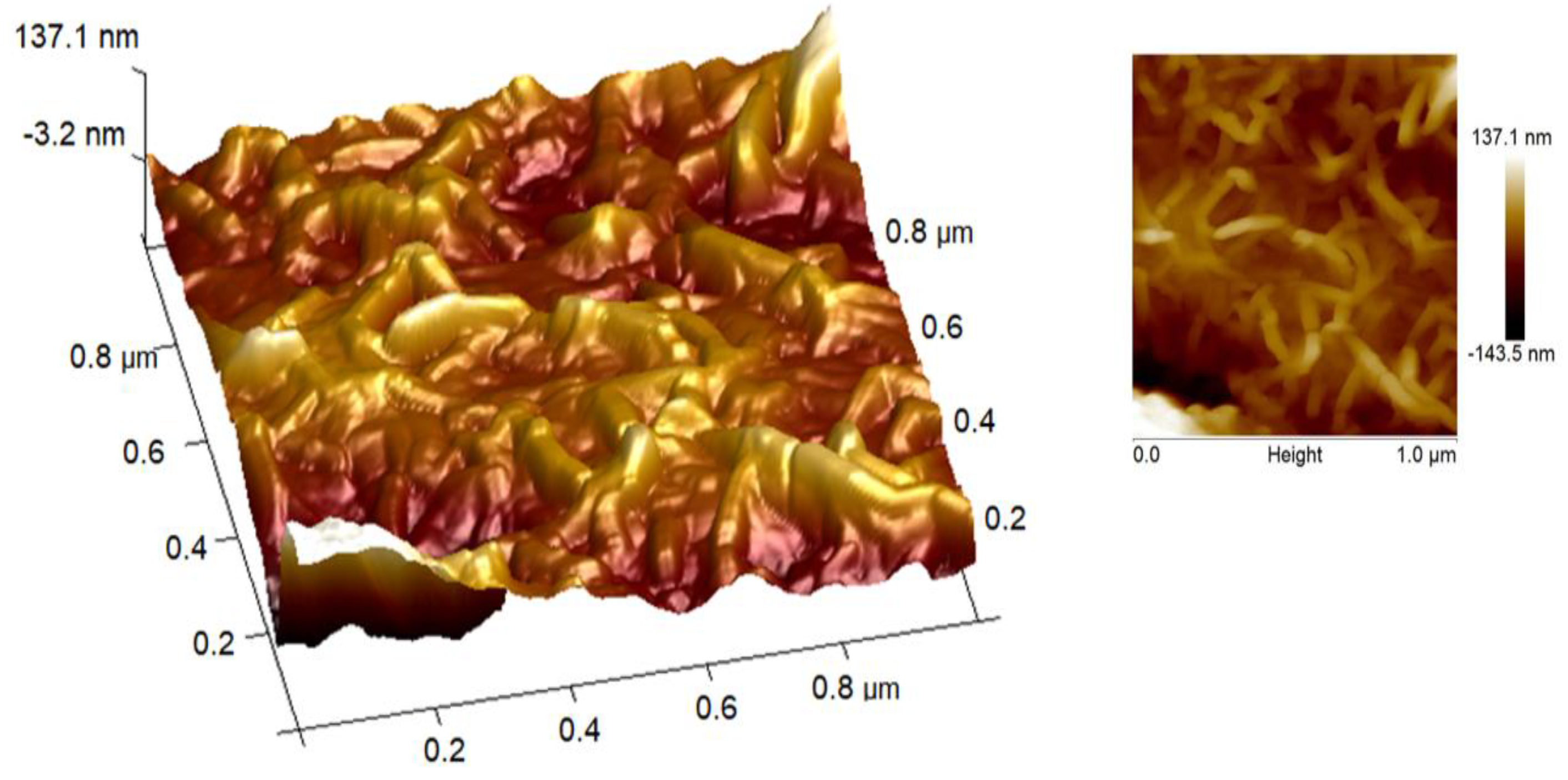 Polymers 14 04265 g005