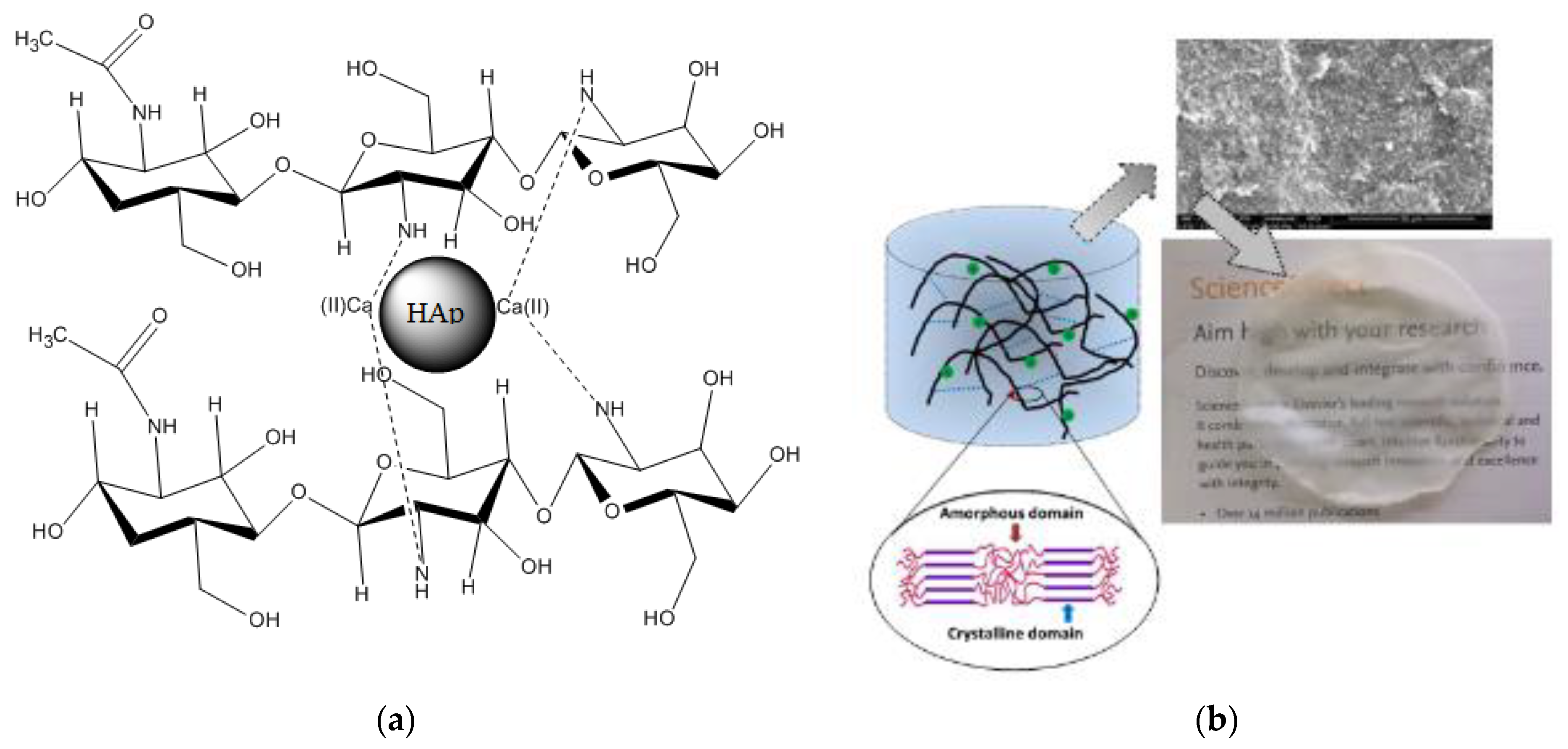 Polymers 14 04265 g007