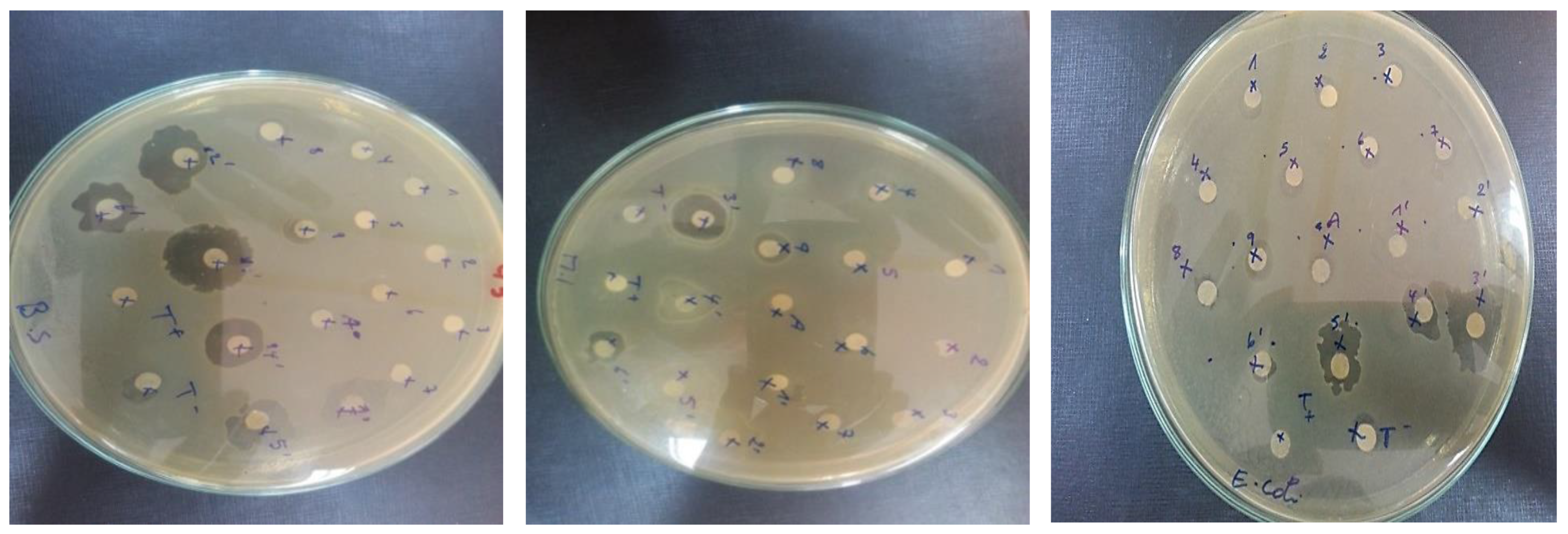 Polymers 14 04265 g008