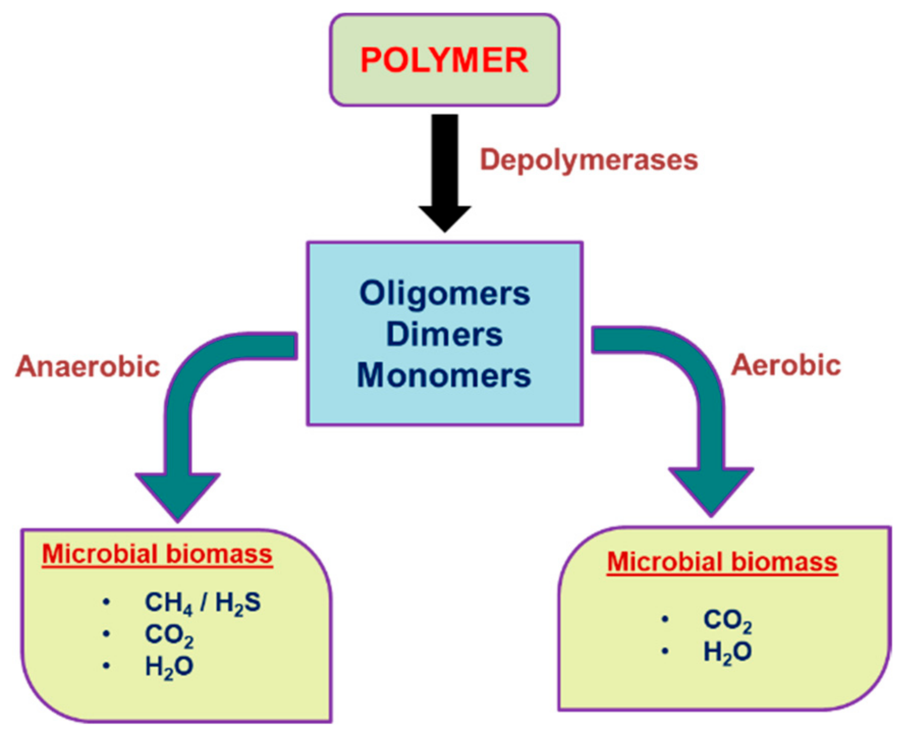 Polymers 14 04271 g002