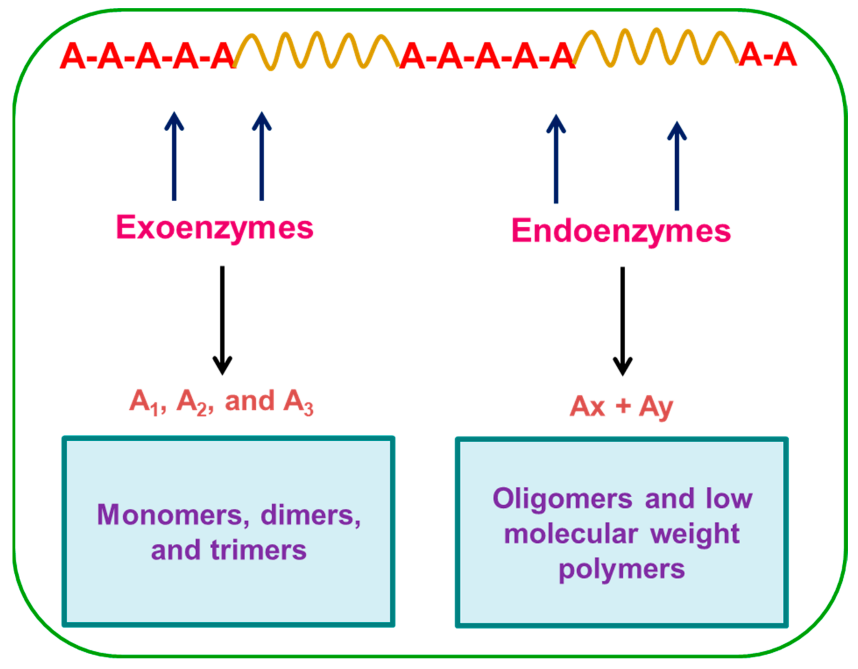 Polymers 14 04271 g005