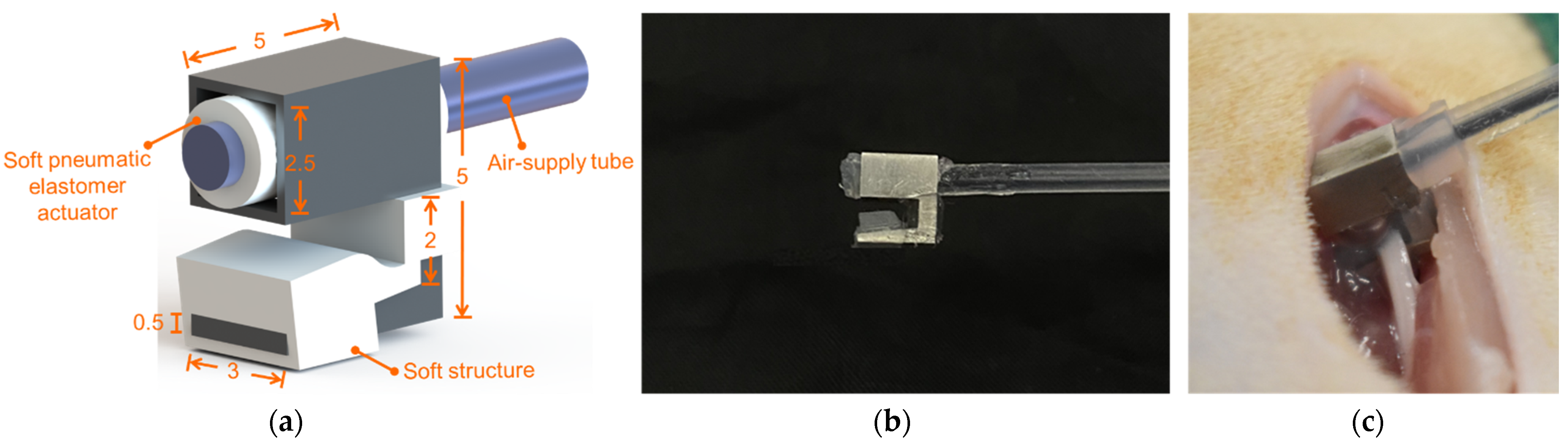 Polymers 14 04272 g001