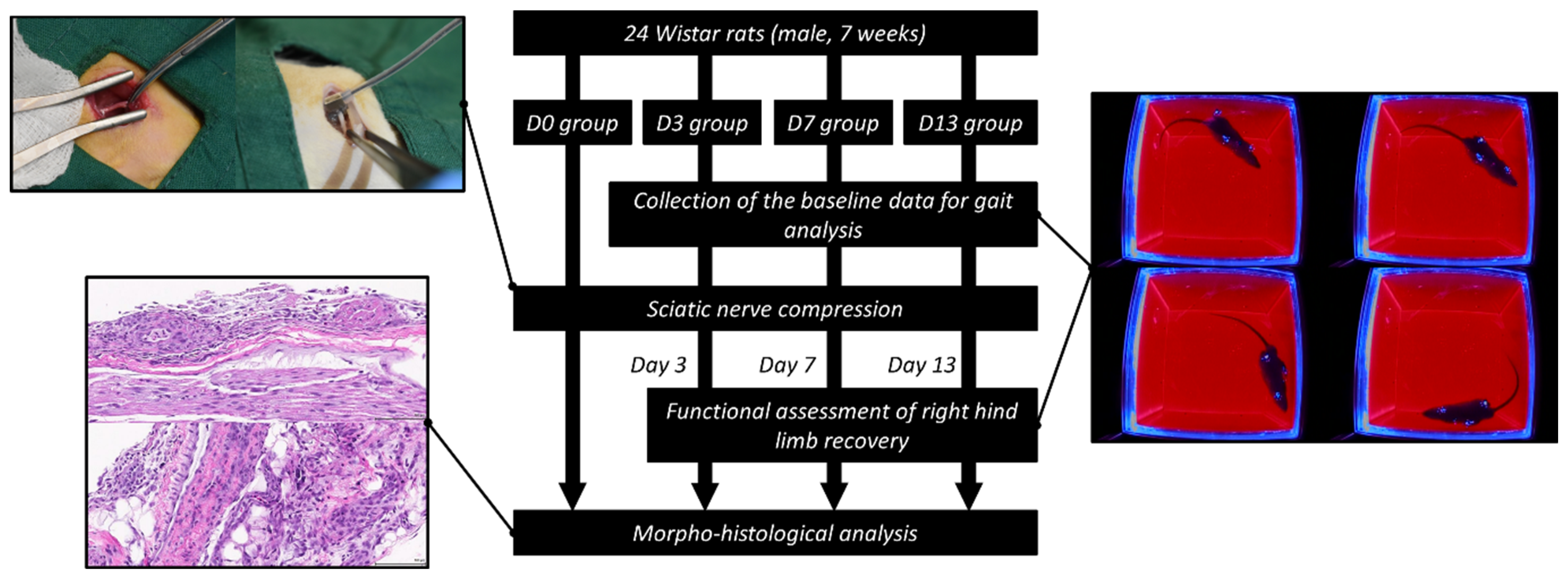 Polymers 14 04272 g002