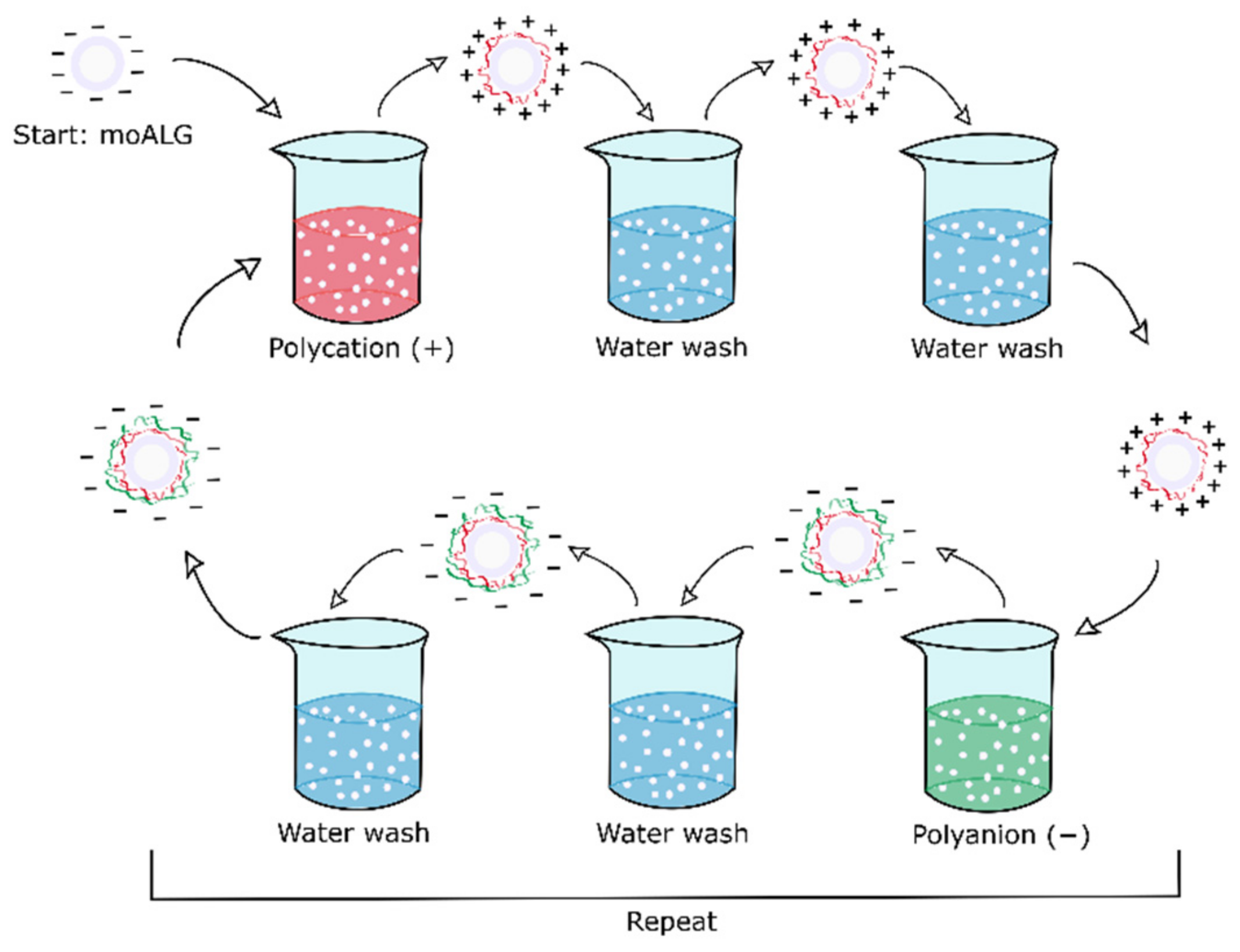 Polymers 14 04282 g002
