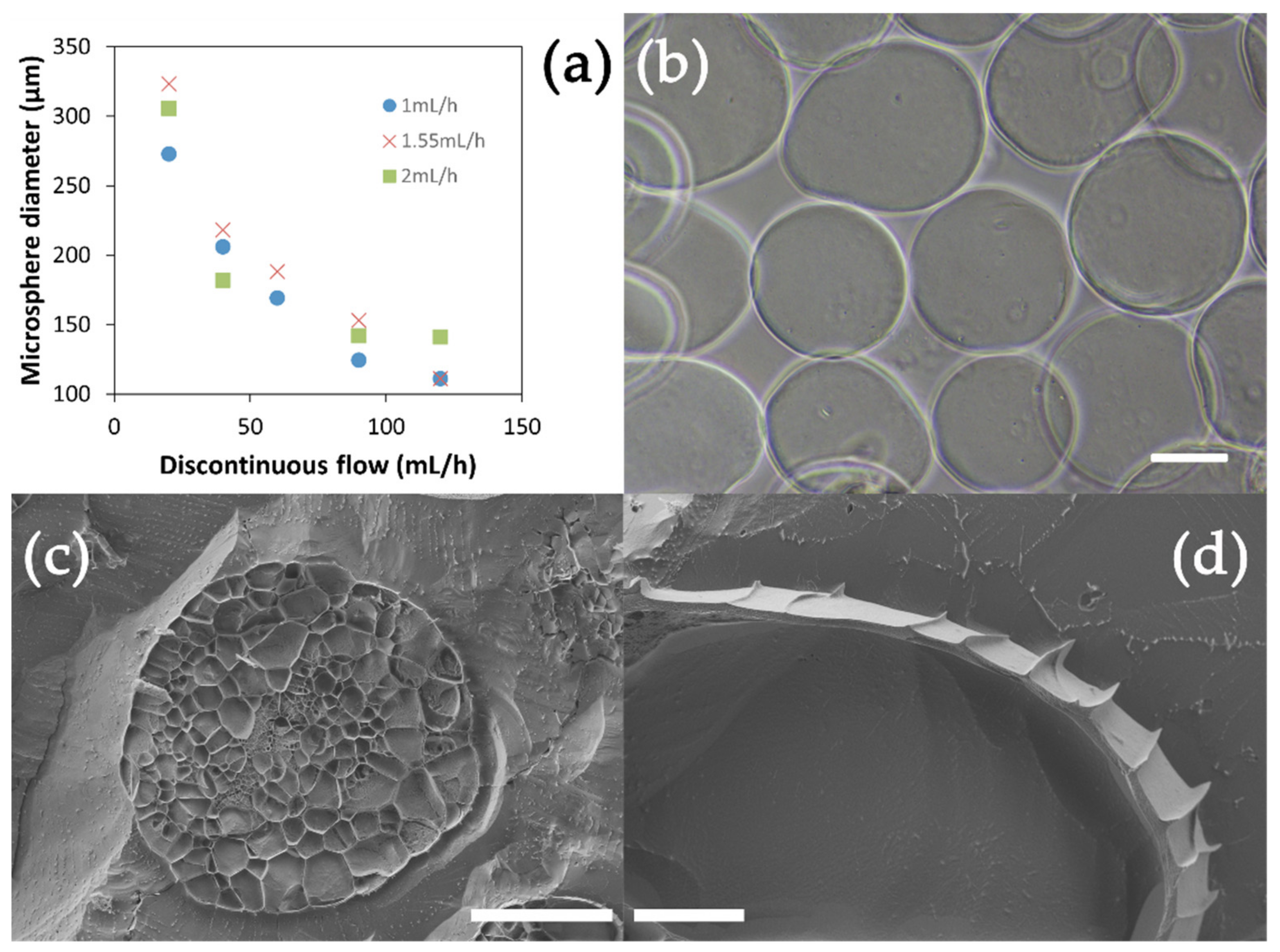 Polymers 14 04282 g003