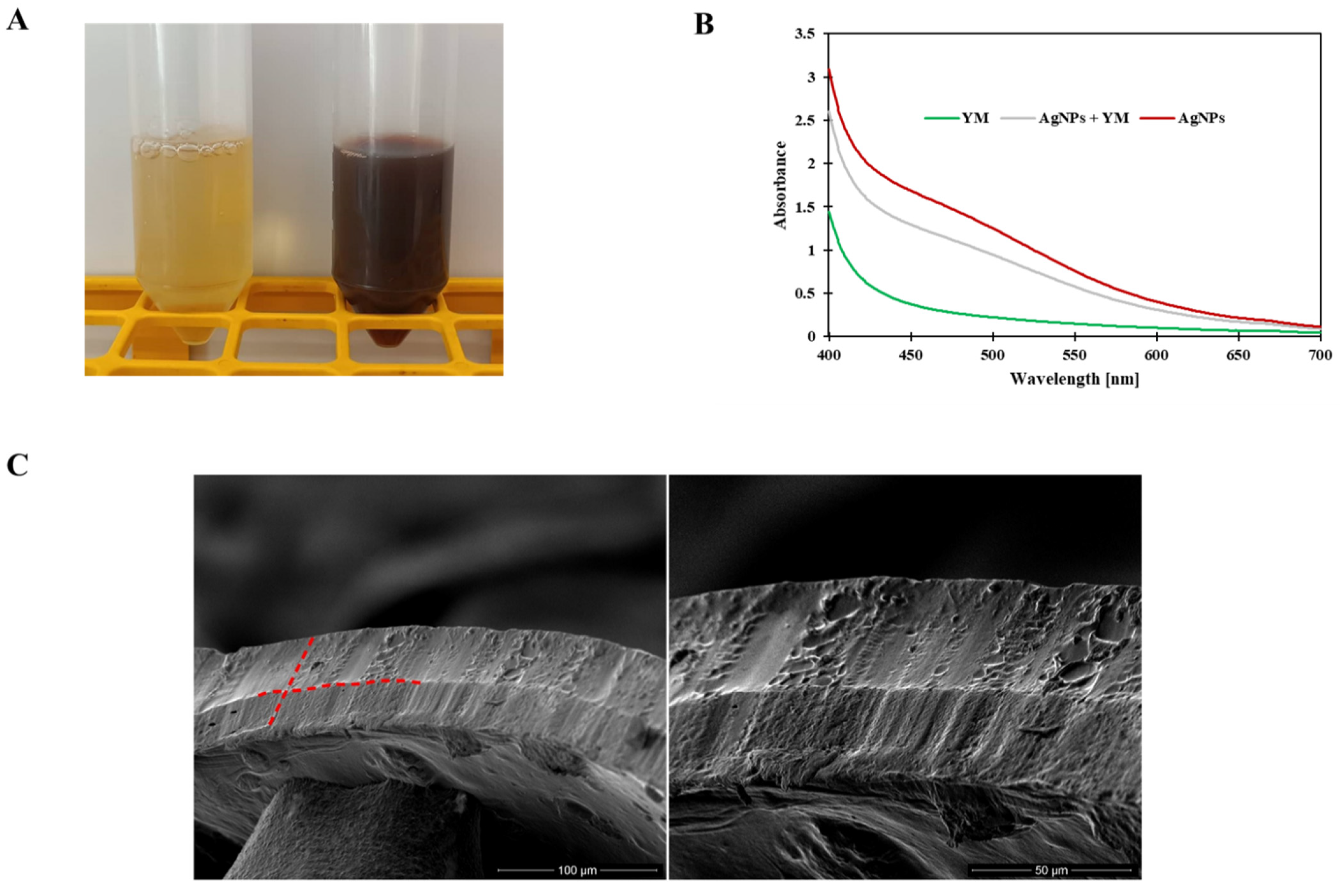 Polymers 14 04283 g001a