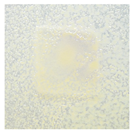 Polymers 14 04283 i013