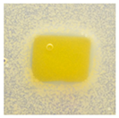 Polymers 14 04283 i015