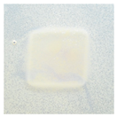 Polymers 14 04283 i017