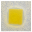 Polymers 14 04283 i019