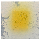 Polymers 14 04283 i024