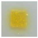 Polymers 14 04283 i032