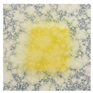 Polymers 14 04283 i035