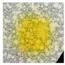 Polymers 14 04283 i036