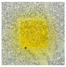 Polymers 14 04283 i040