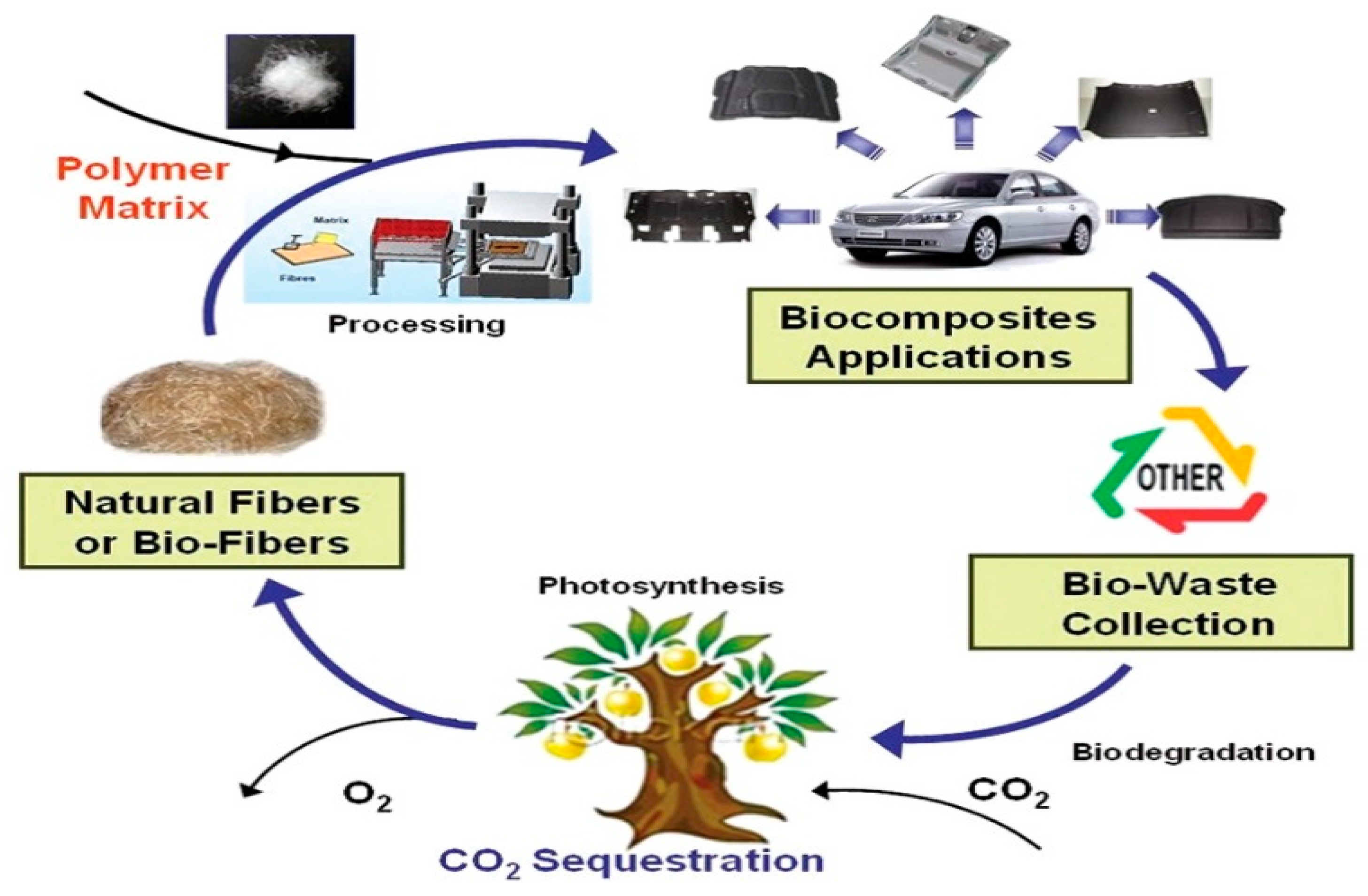 Polymers 14 04286 g002