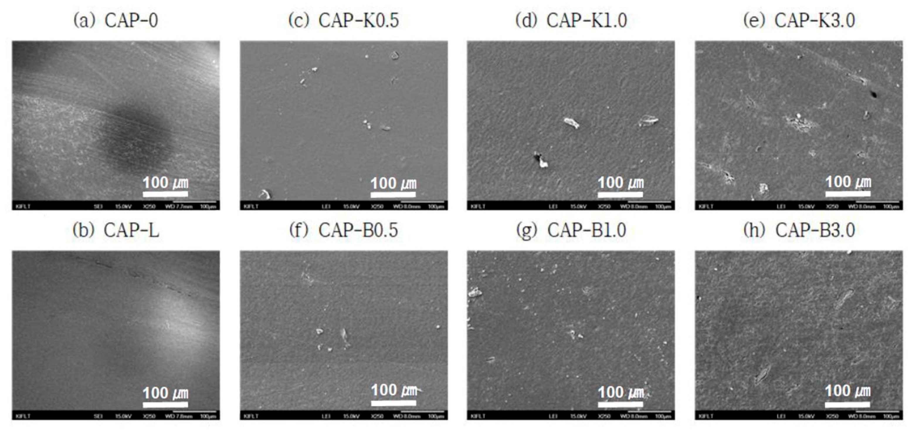Polymers 14 04286 g014