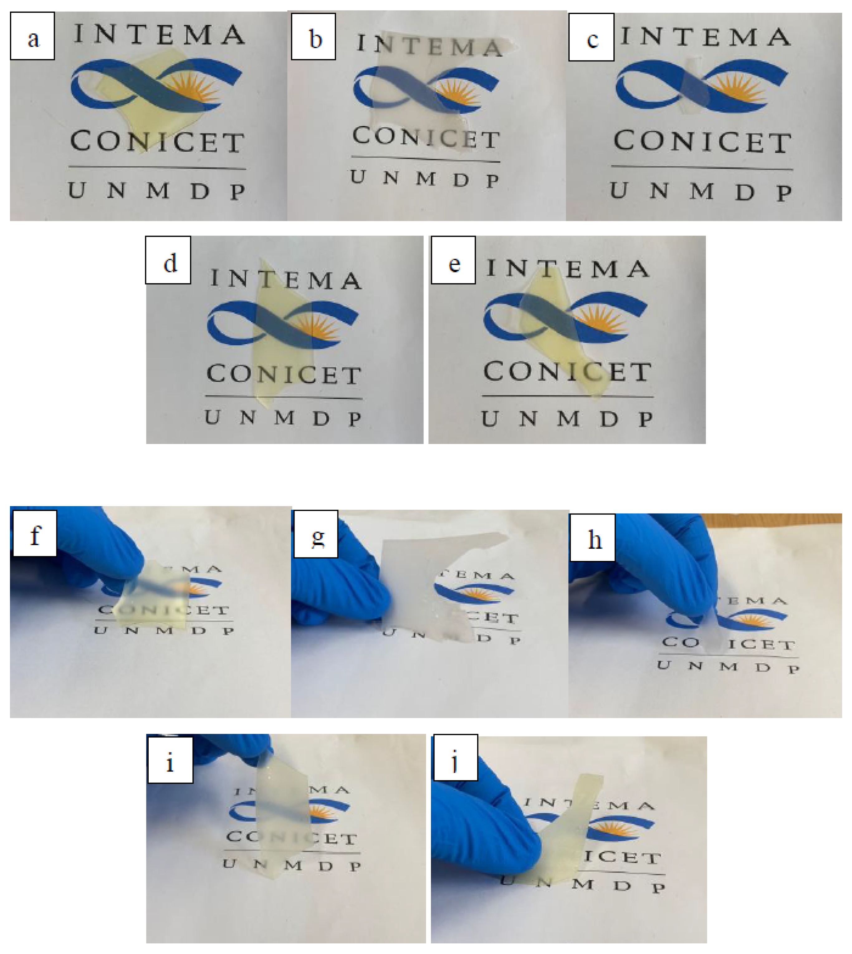 Polymers 14 04303 g001