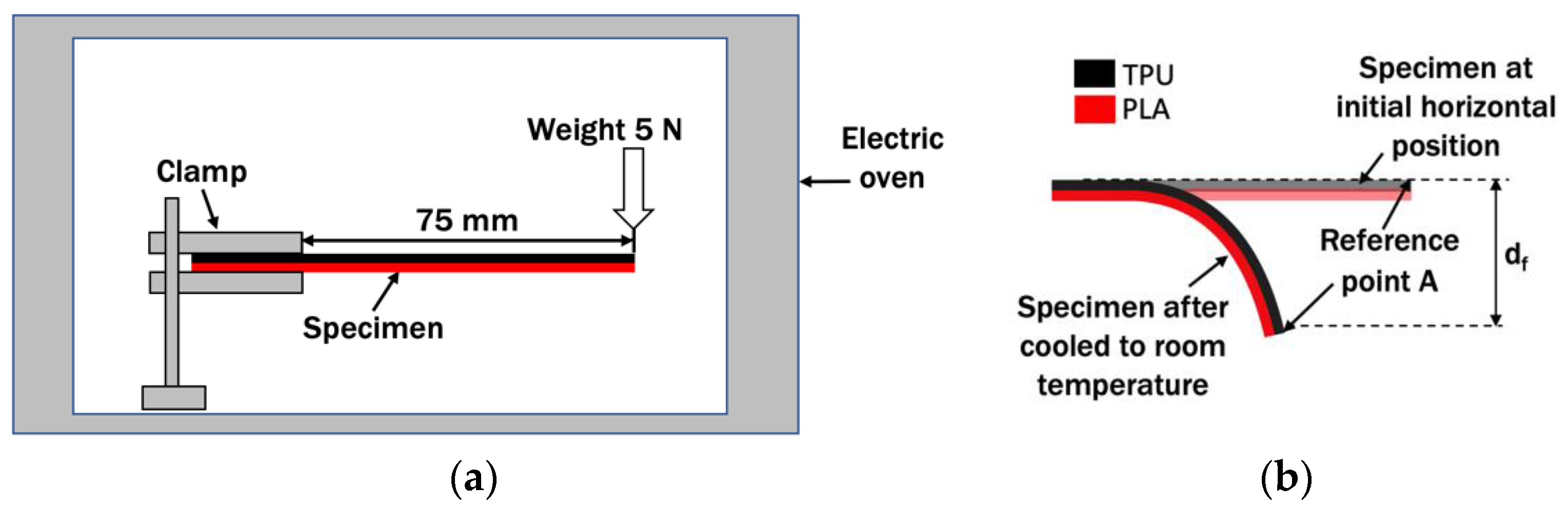 Polymers 14 04304 g002