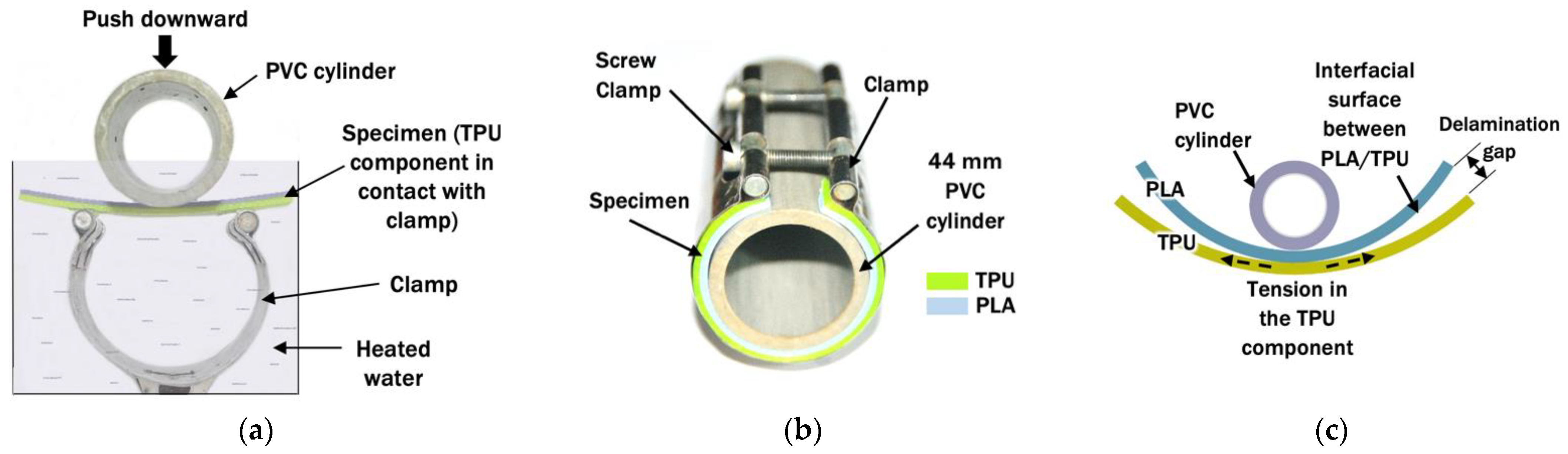 Polymers 14 04304 g003