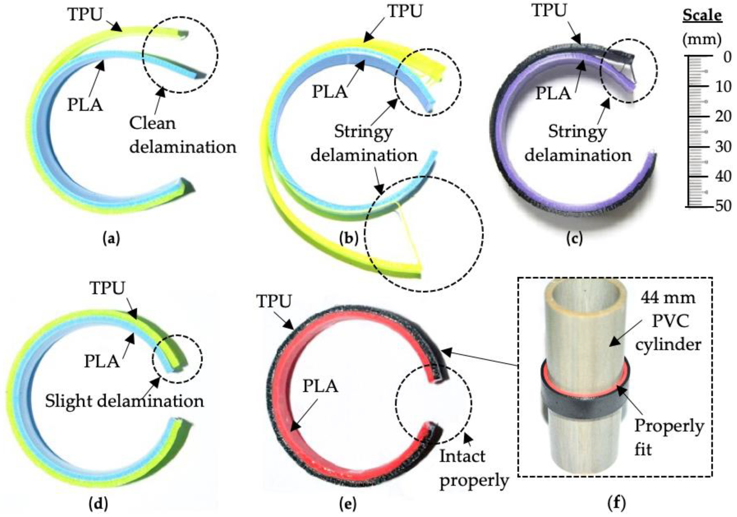 Polymers 14 04304 g007
