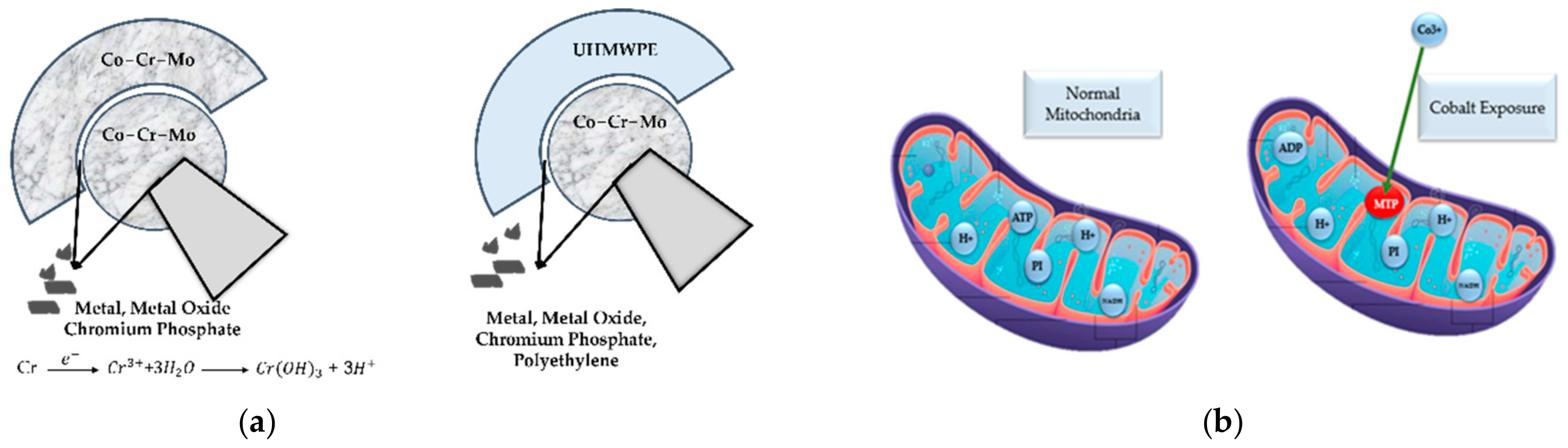 Polymers 14 04308 g011