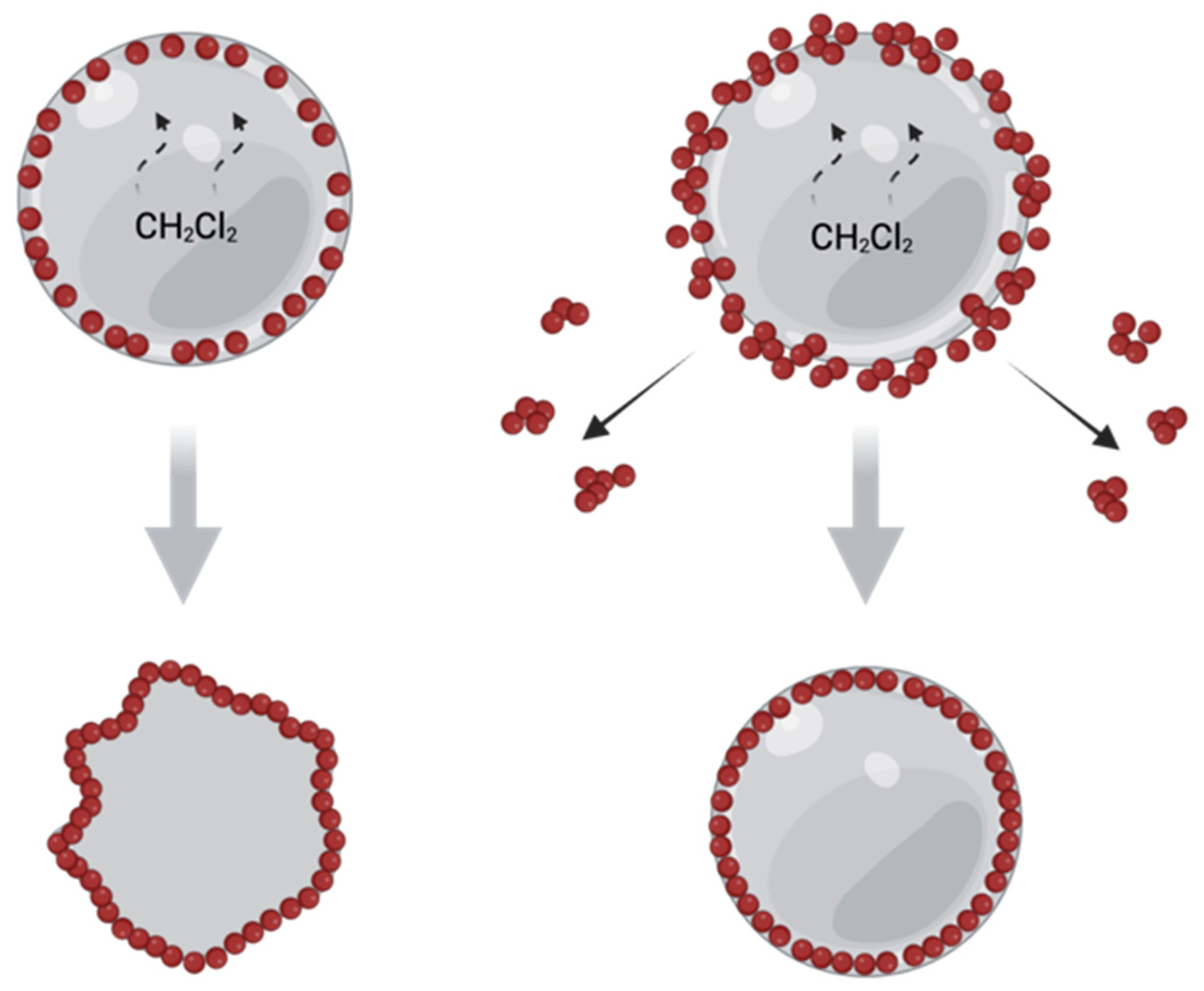 Polymers 14 04309 g006 Polymers 14 04309 g006