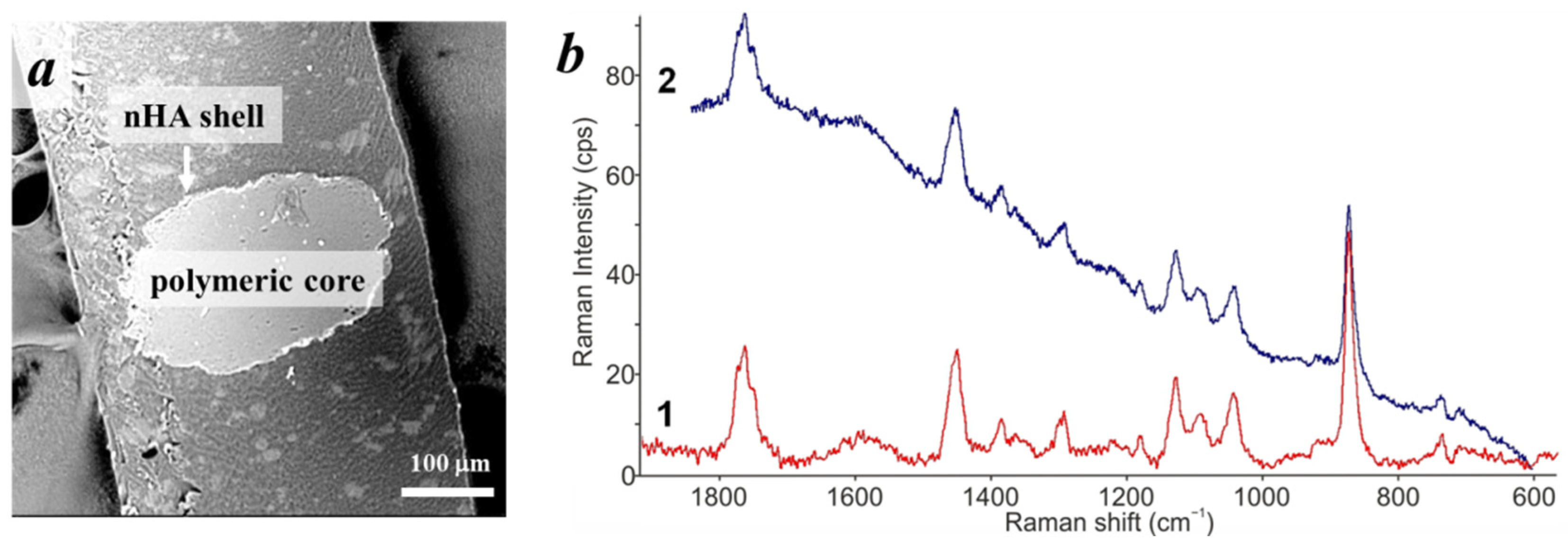 Polymers 14 04309 g007 Polymers 14 04309 g007