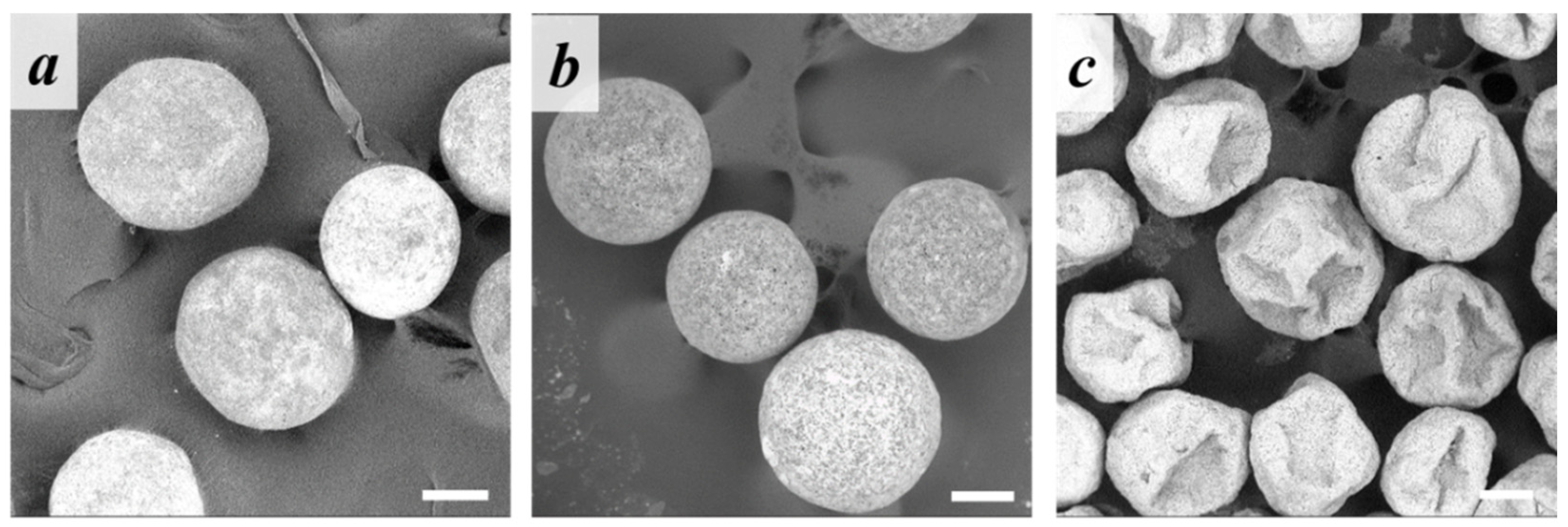 Polymers 14 04309 g009a Polymers 14 04309 g009a