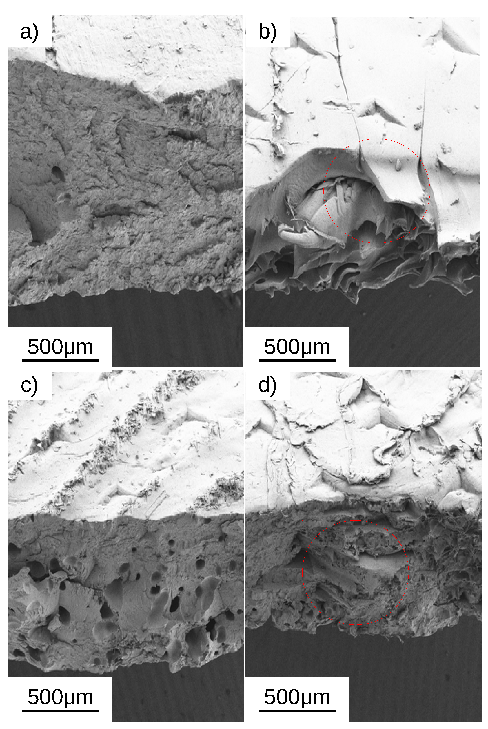 Polymers 14 04312 g008 Polymers 14 04312 g008