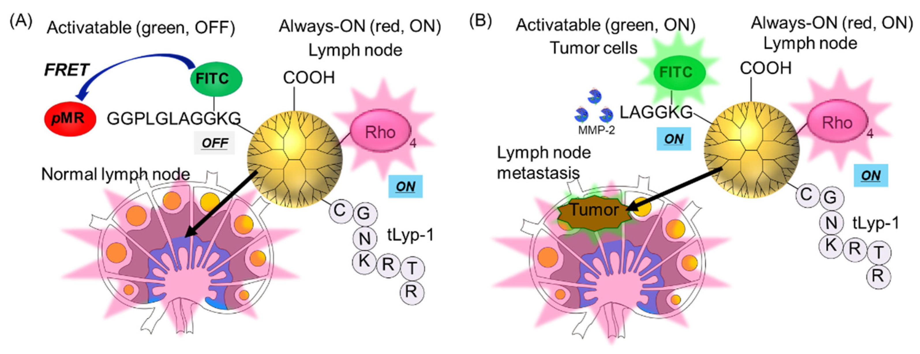 Polymers 14 04314 g001 Polymers 14 04314 g001
