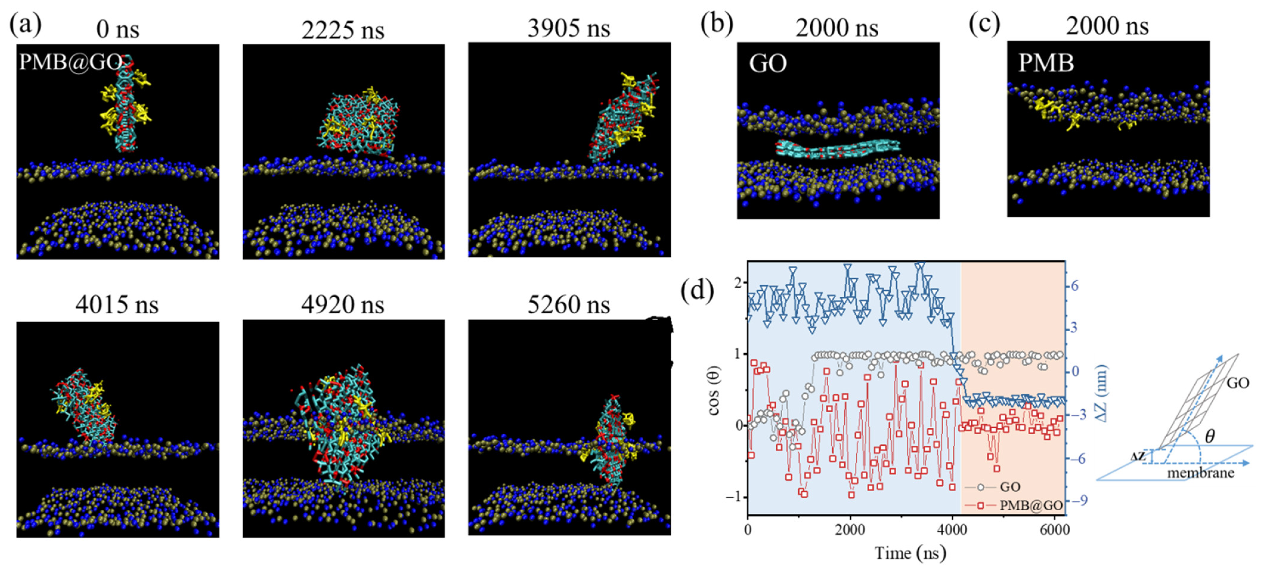 Polymers 14 04316 g005