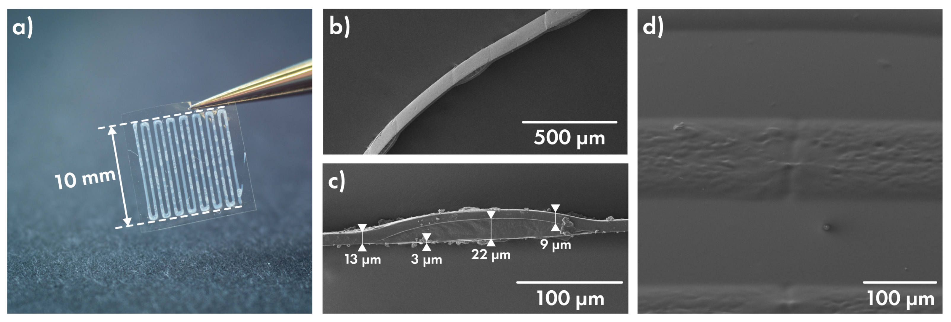 Polymers 14 04318 g006