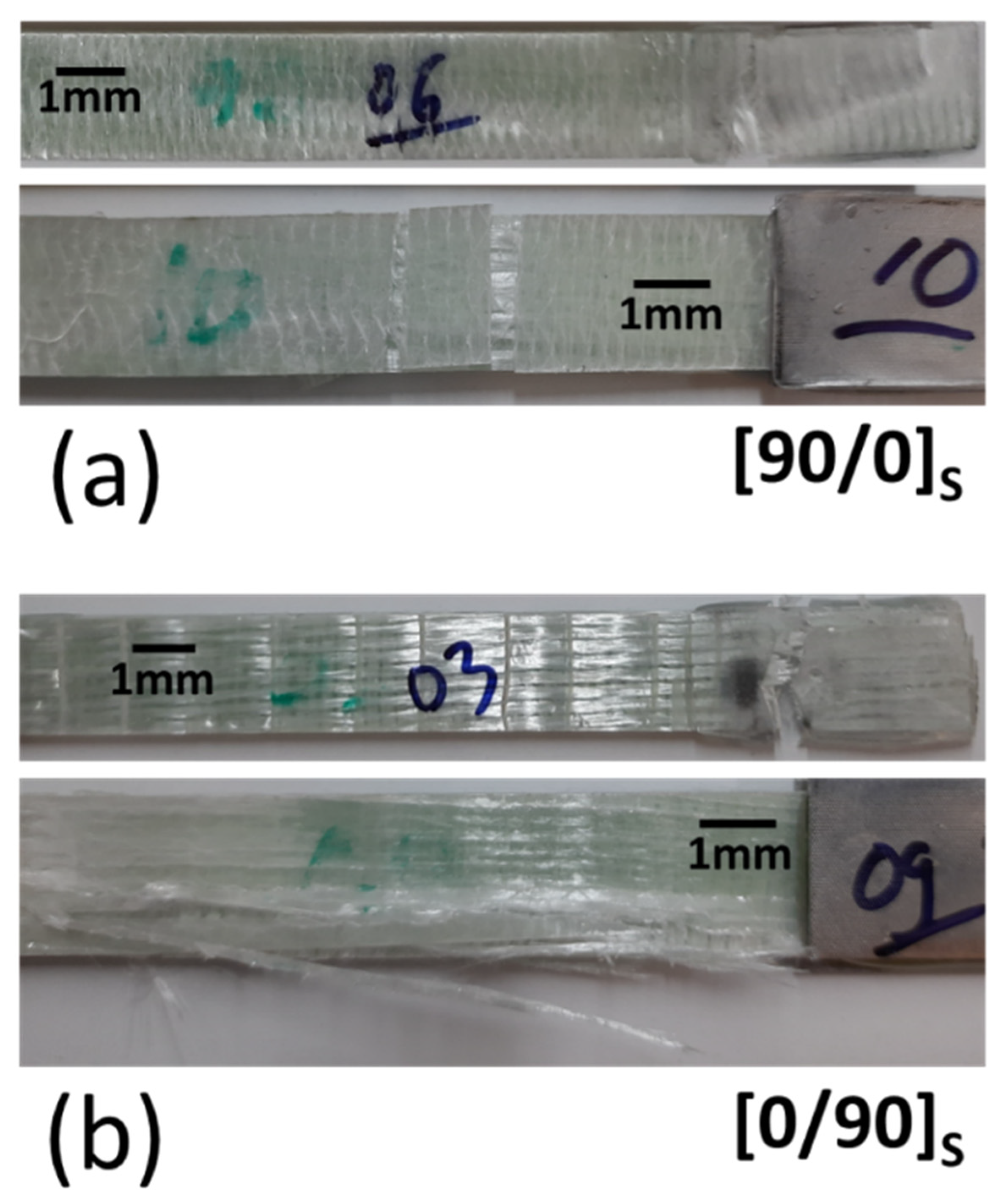 Polymers 14 04322 g005