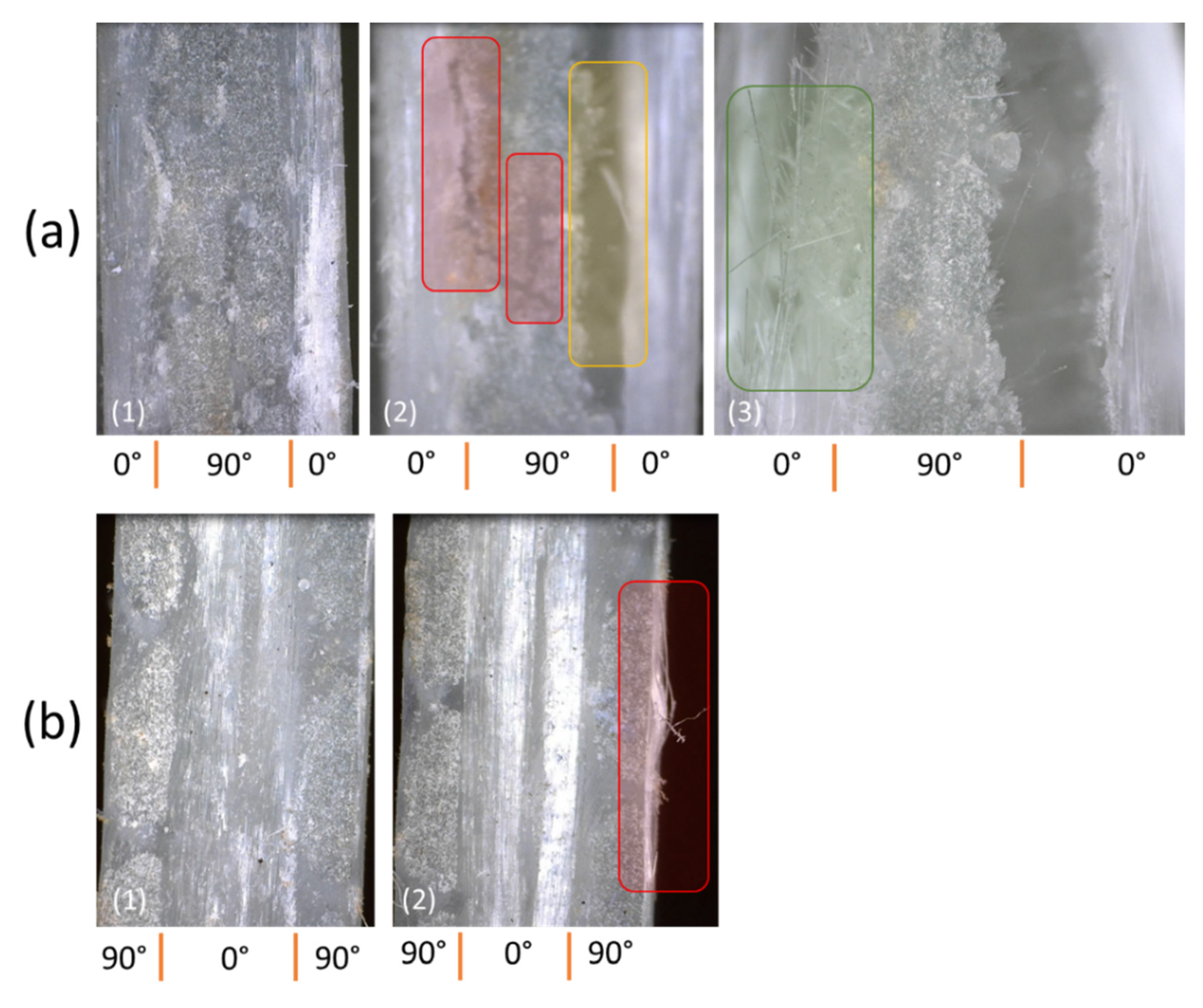 Polymers 14 04322 g012