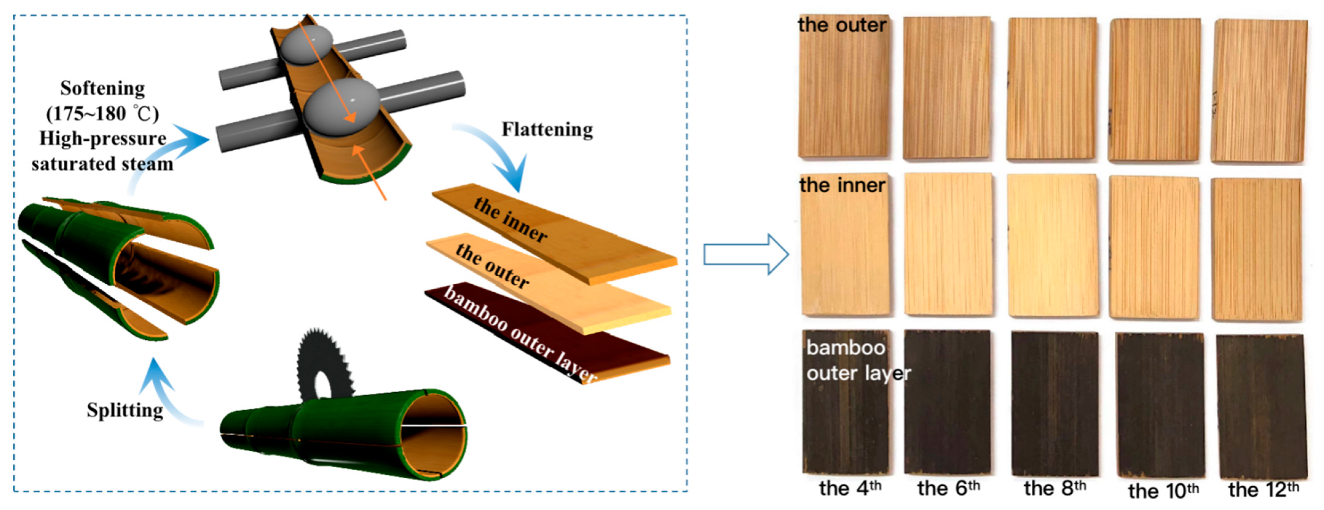 Polymers 14 04327 g002