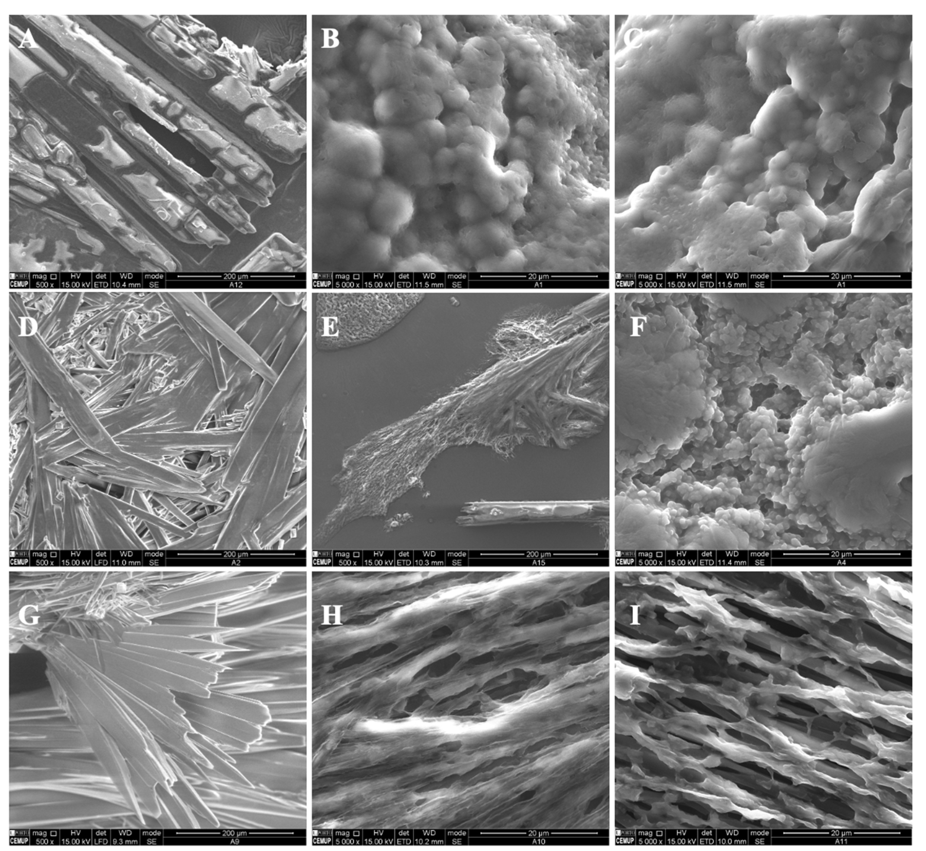 Polymers 14 04337 g001 Polymers 14 04337 g001