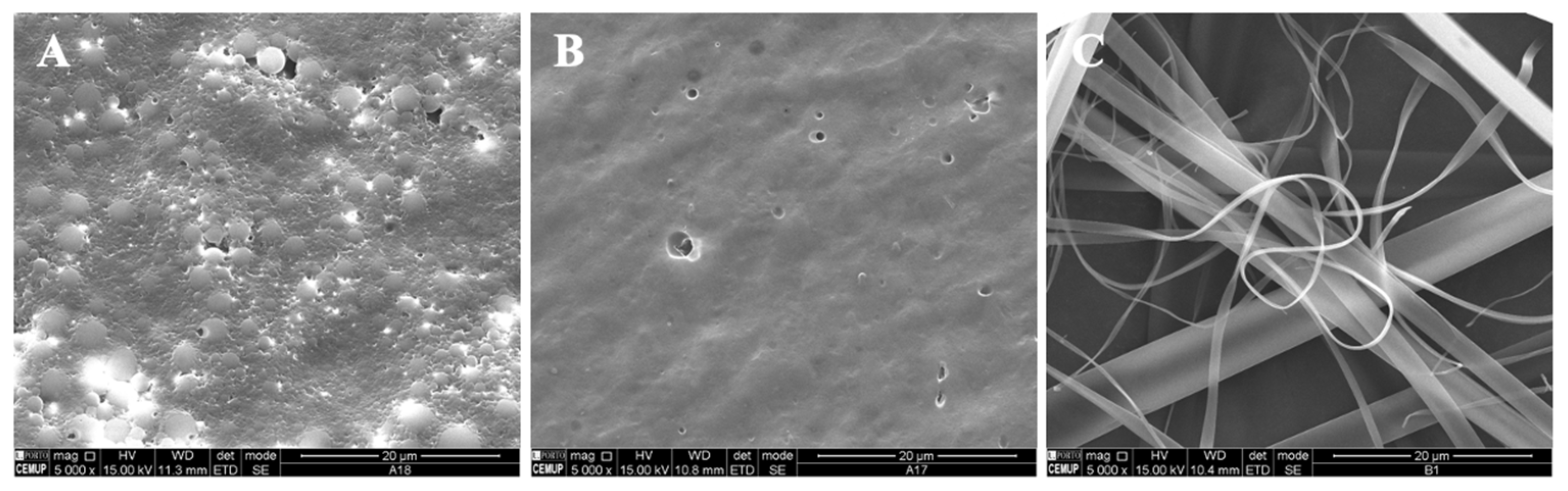 Polymers 14 04337 g002 Polymers 14 04337 g002