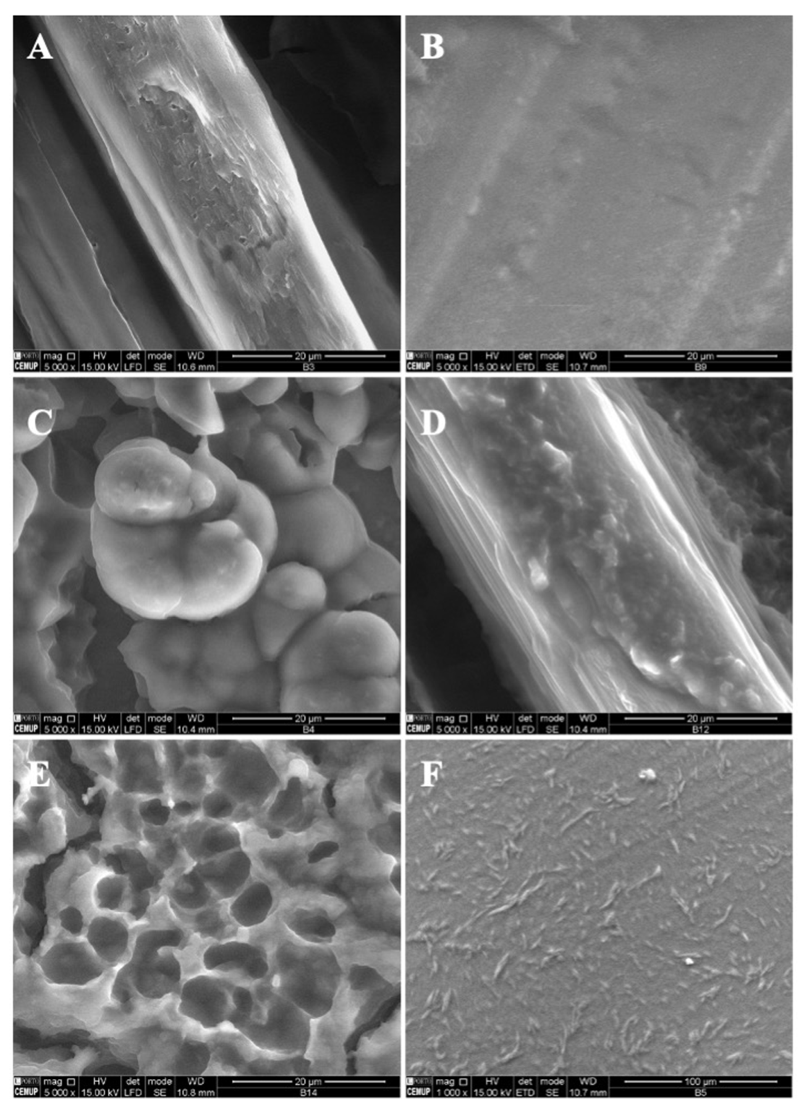 Polymers 14 04337 g003 Polymers 14 04337 g003