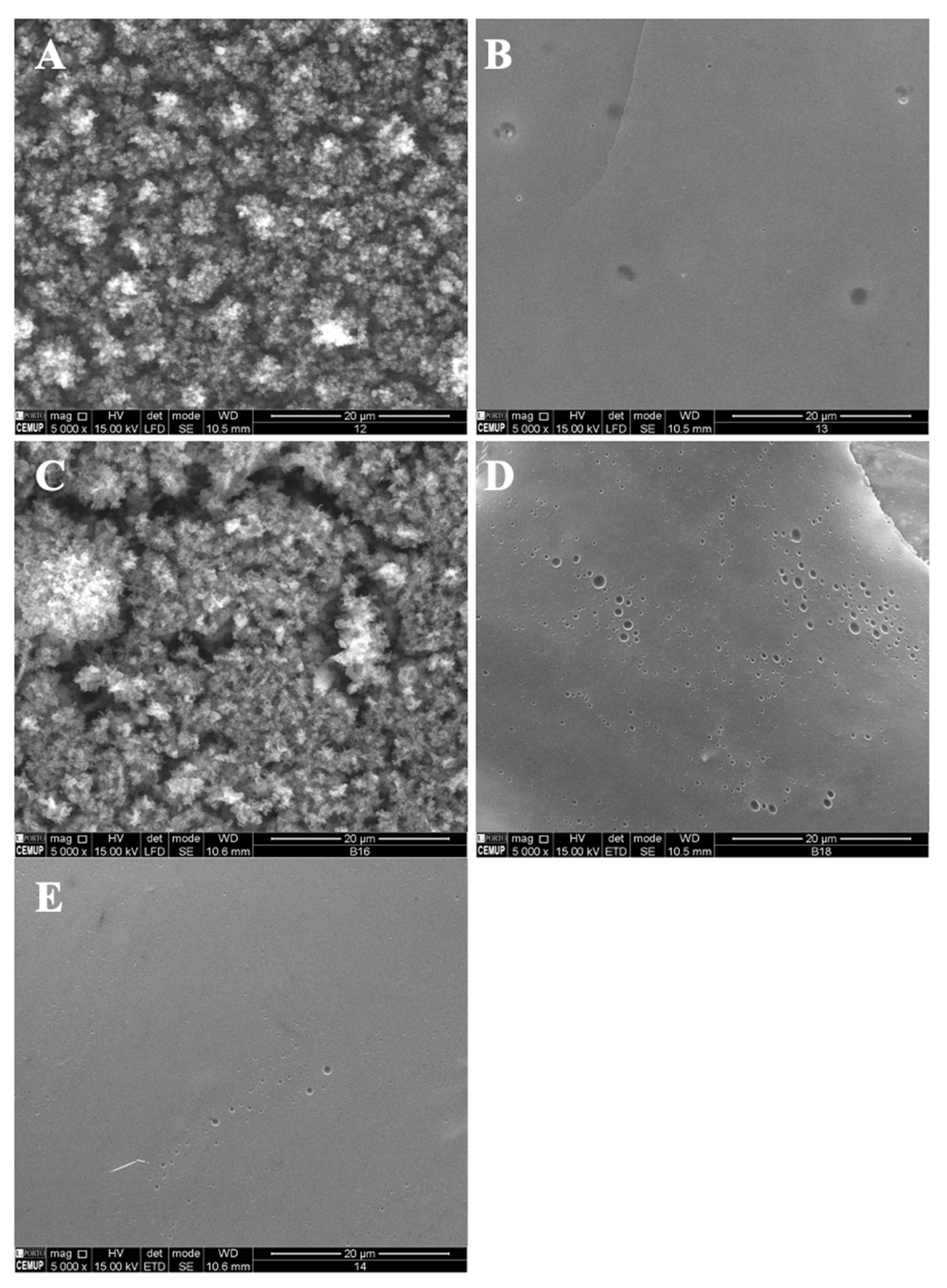 Polymers 14 04337 g005 Polymers 14 04337 g005
