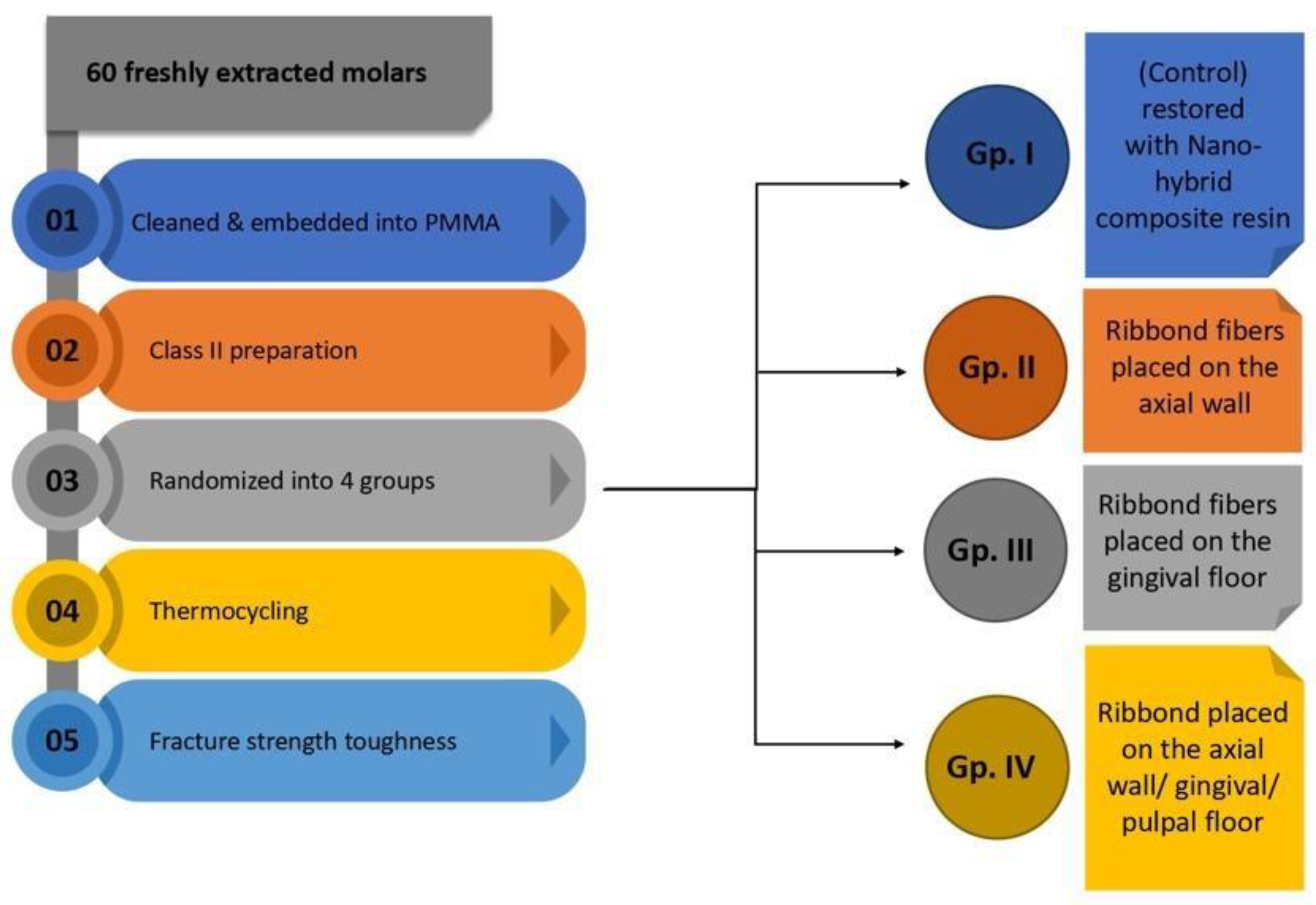 Polymers 14 04339 g001