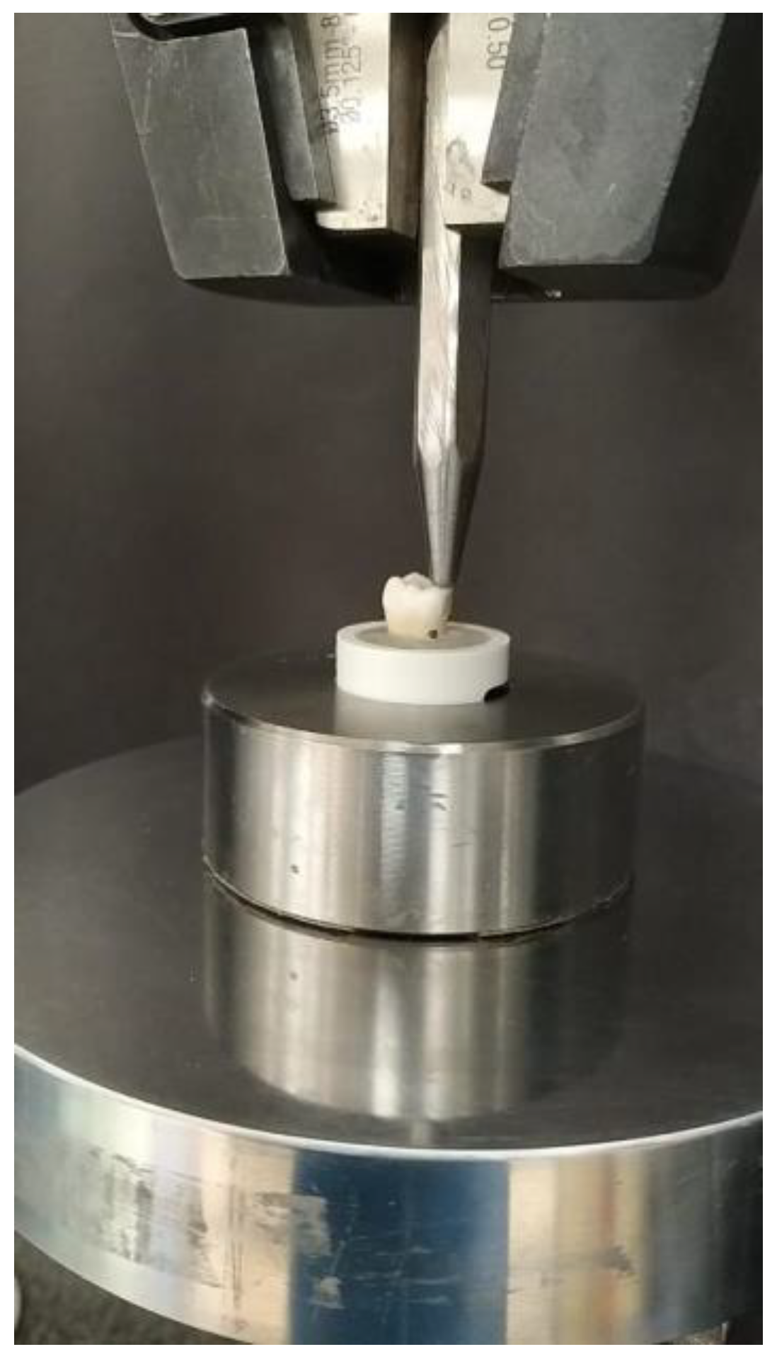 Polymers 14 04339 g002