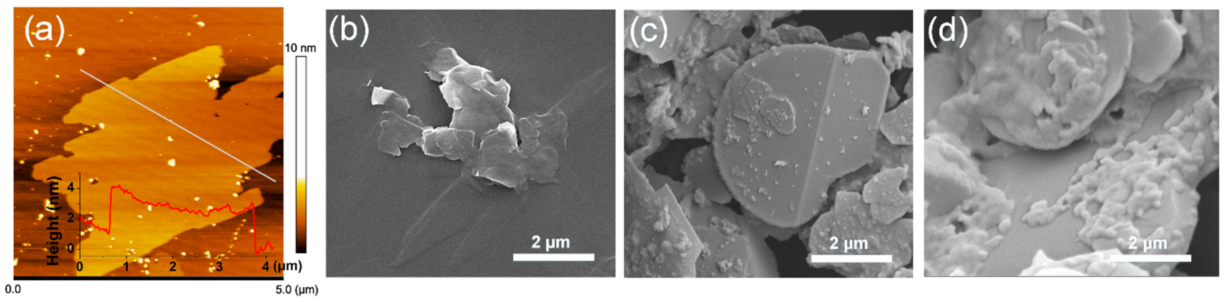 Polymers 14 04341 g002