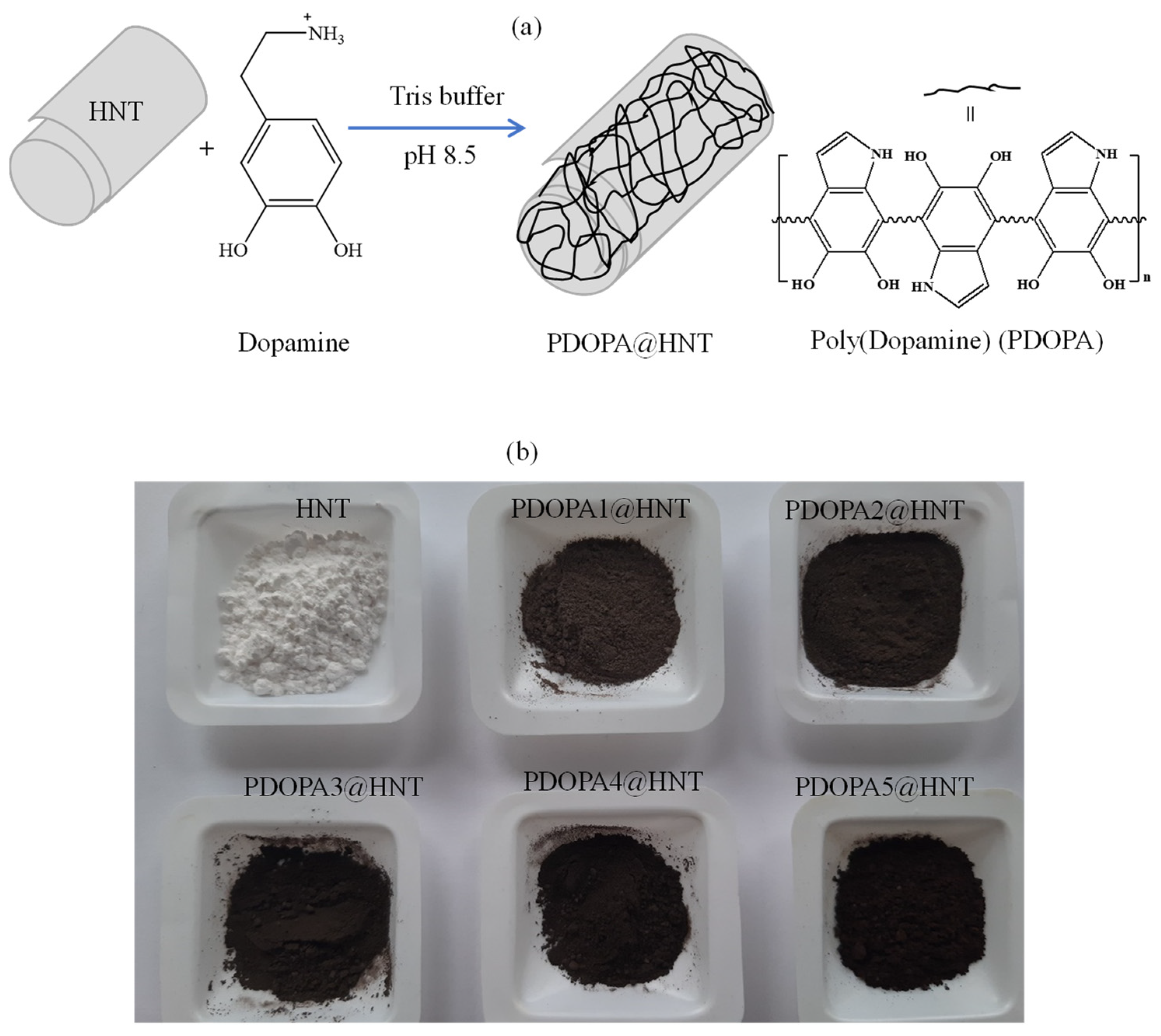 Polymers 14 04346 g001