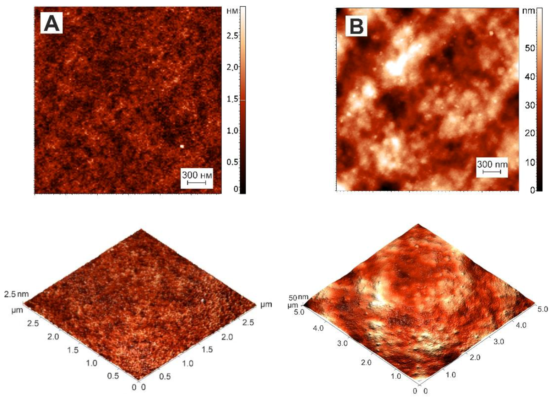 Polymers 14 04347 g006