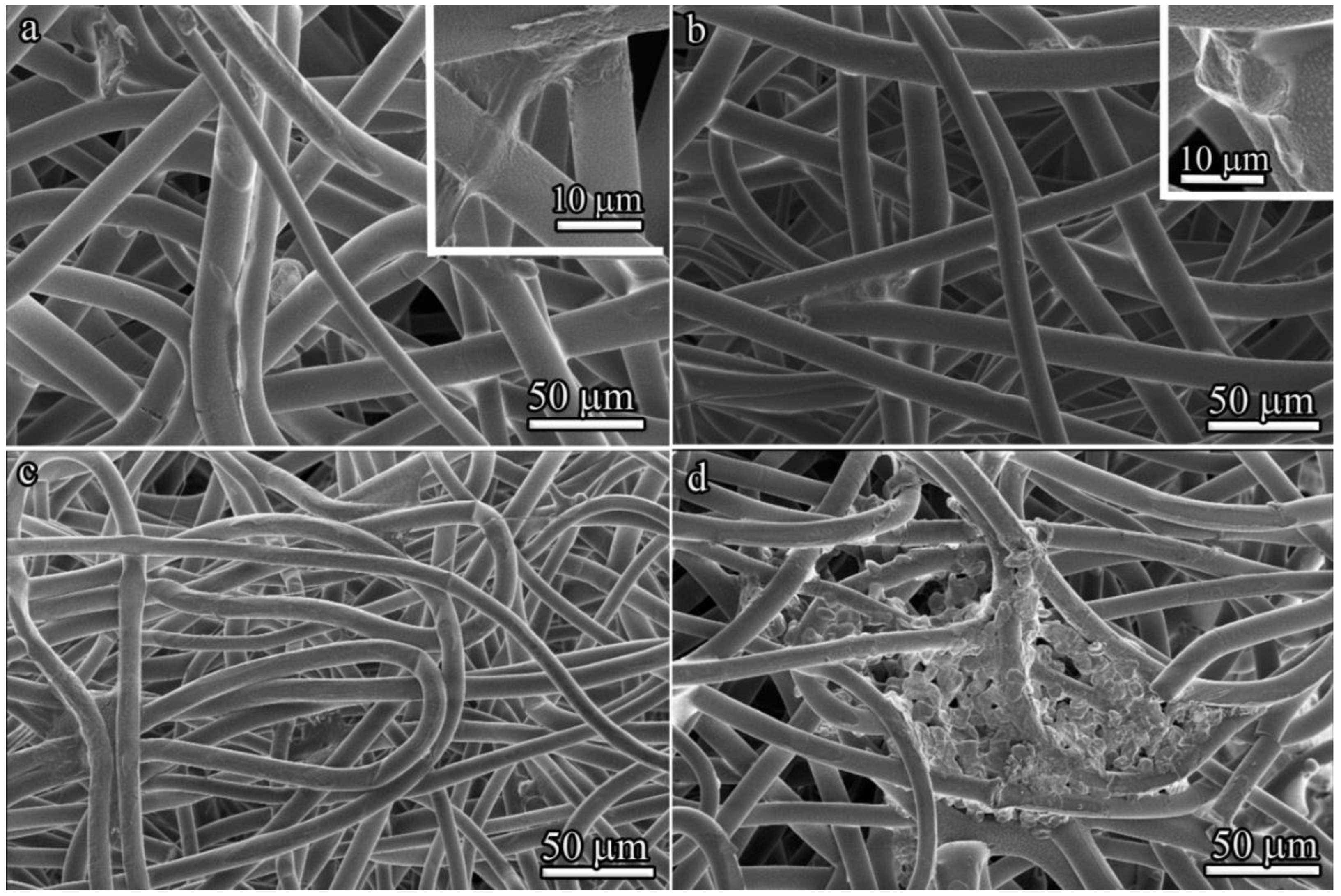 Polymers 14 04352 g007 Polymers 14 04352 g007