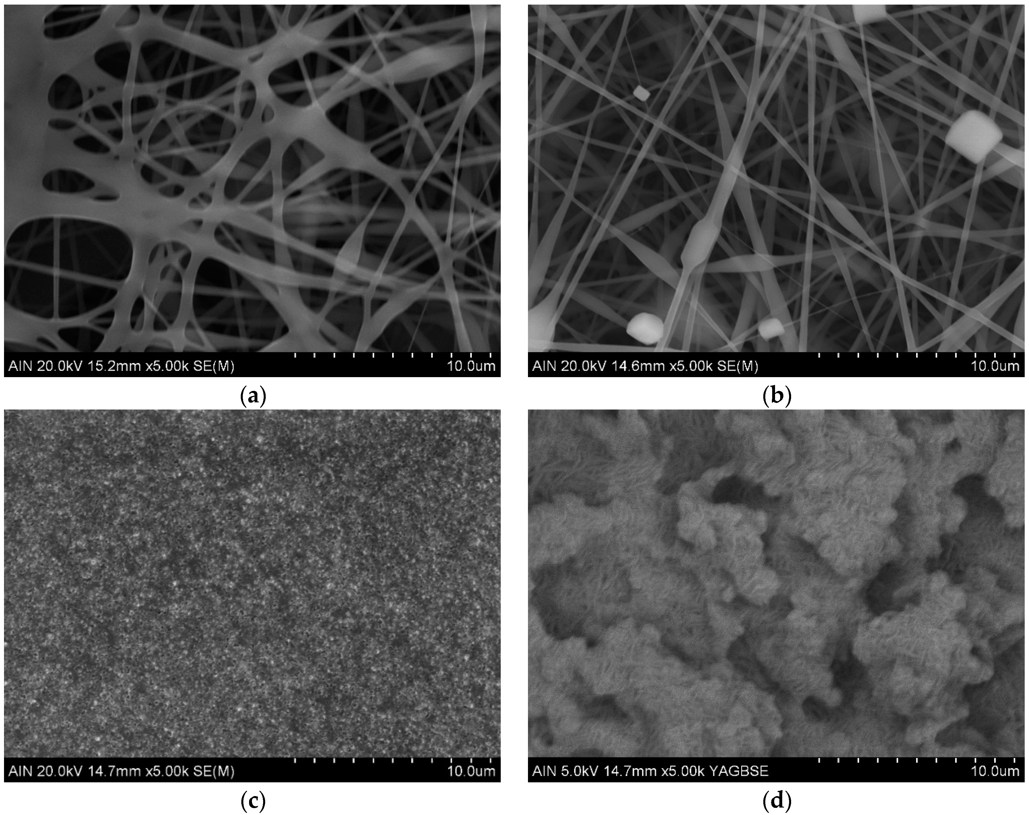 Polymers 14 04356 g003