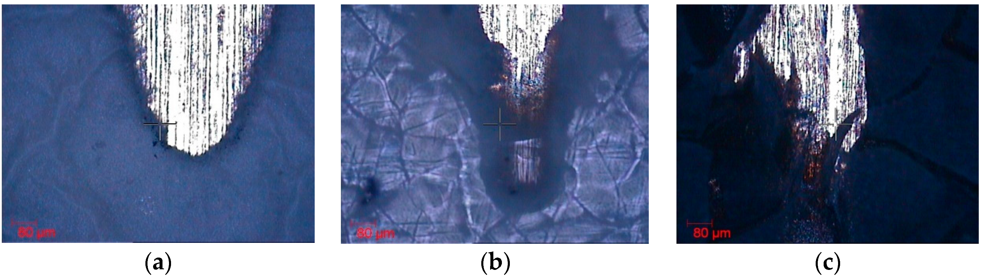Polymers 14 04356 g006